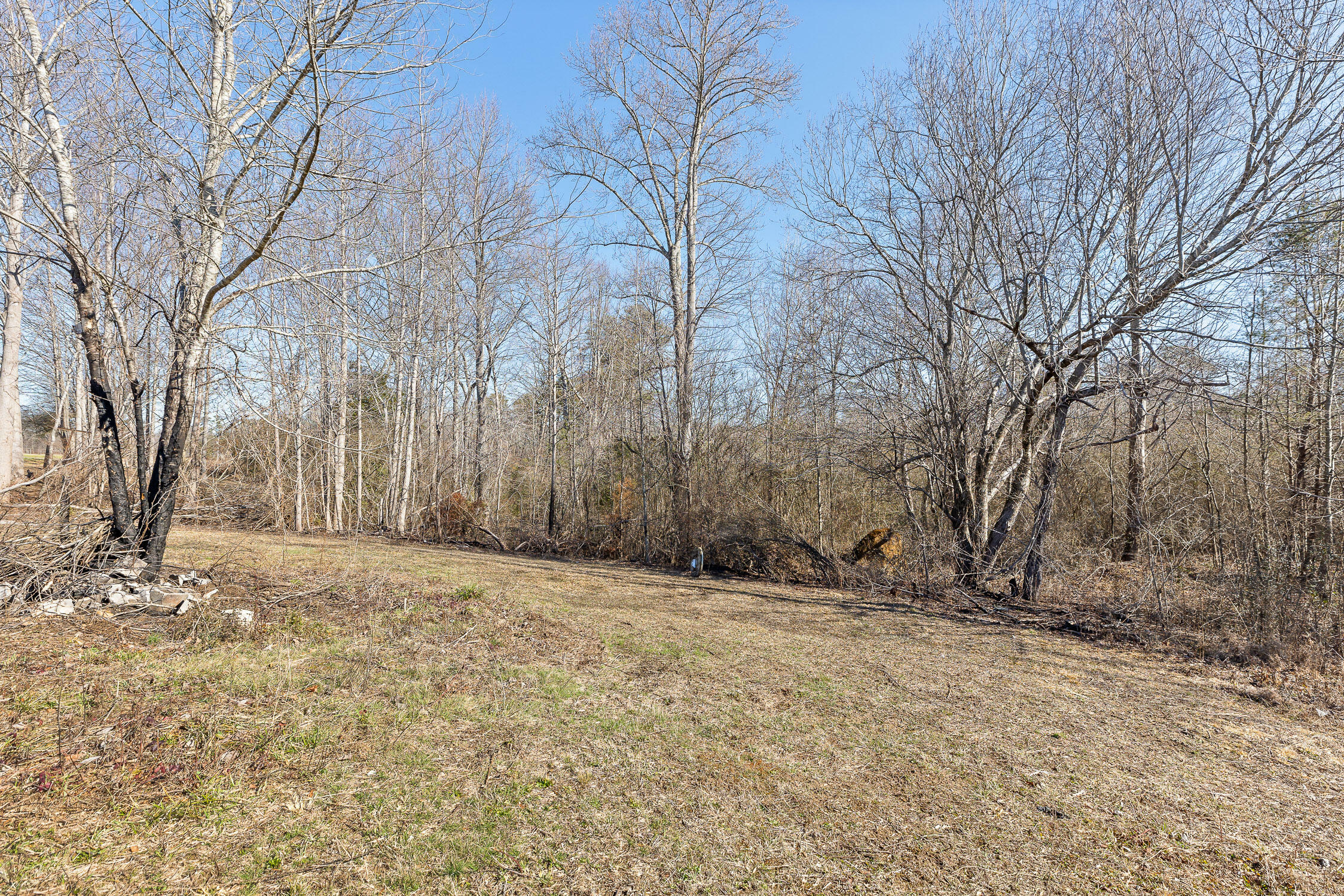 Property Photo:  Tract B County Road 784  AL 35981 