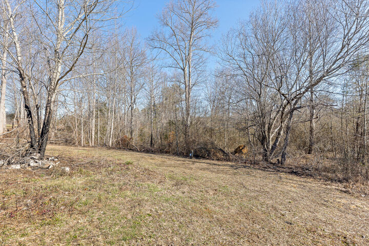 Property Photo: 1500 Co Rd 784 AL 35966