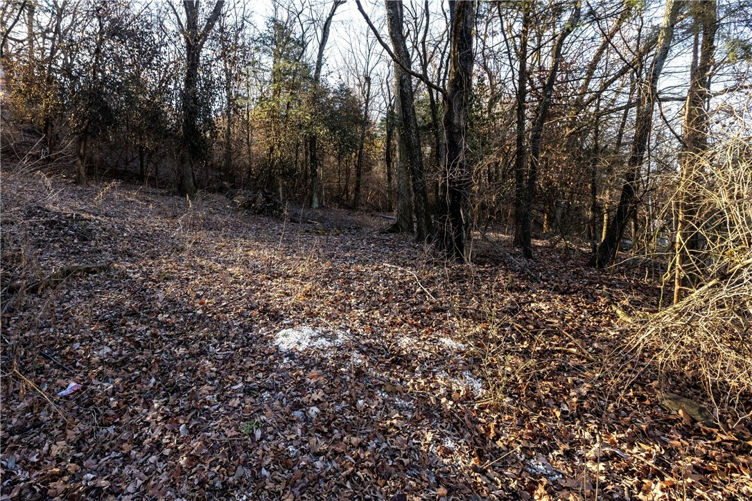 Property Photo:  N Oak Drive  AR 72701 