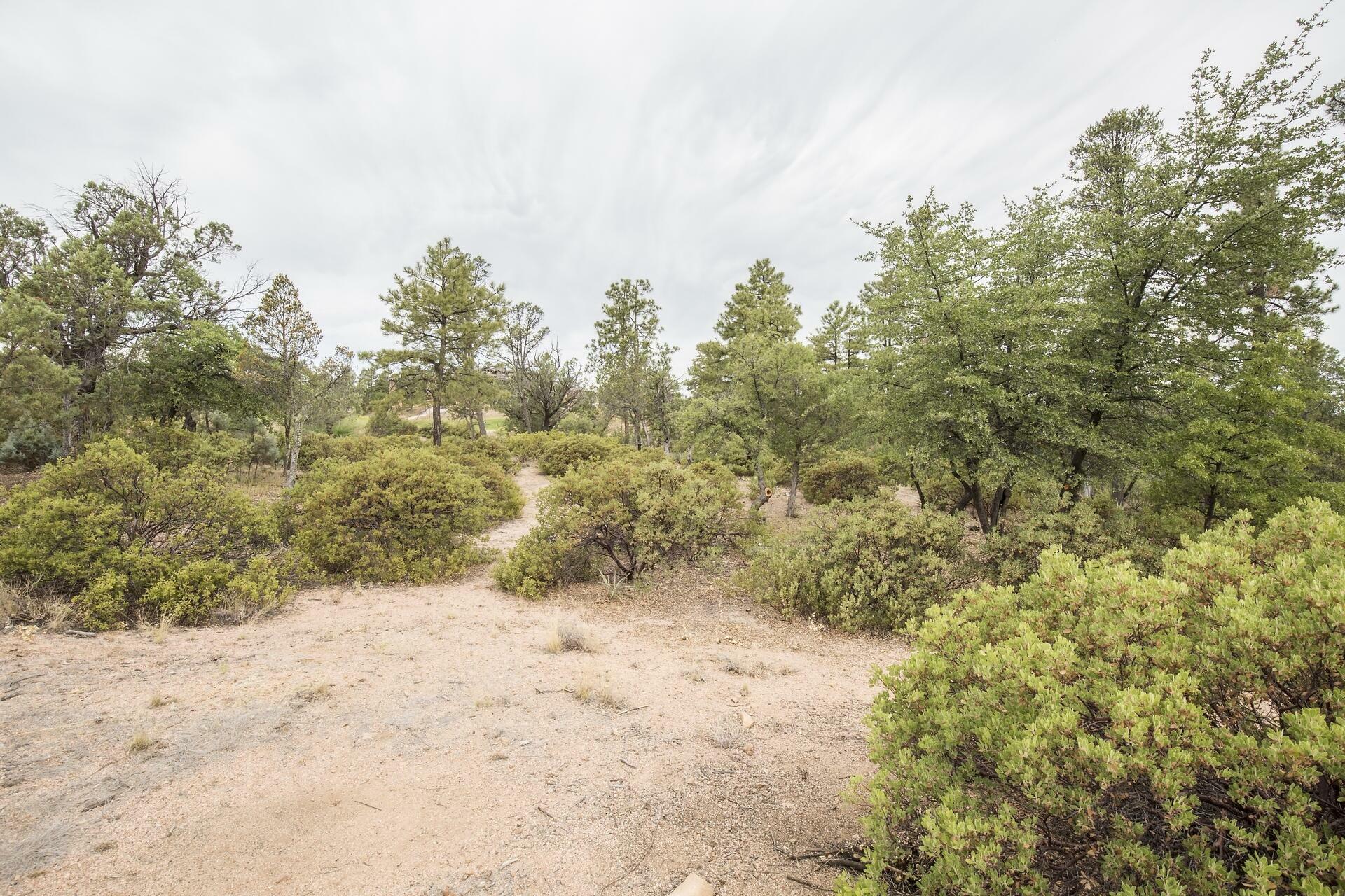 Property Photo:  700 S Shady Glade  AZ 85541 