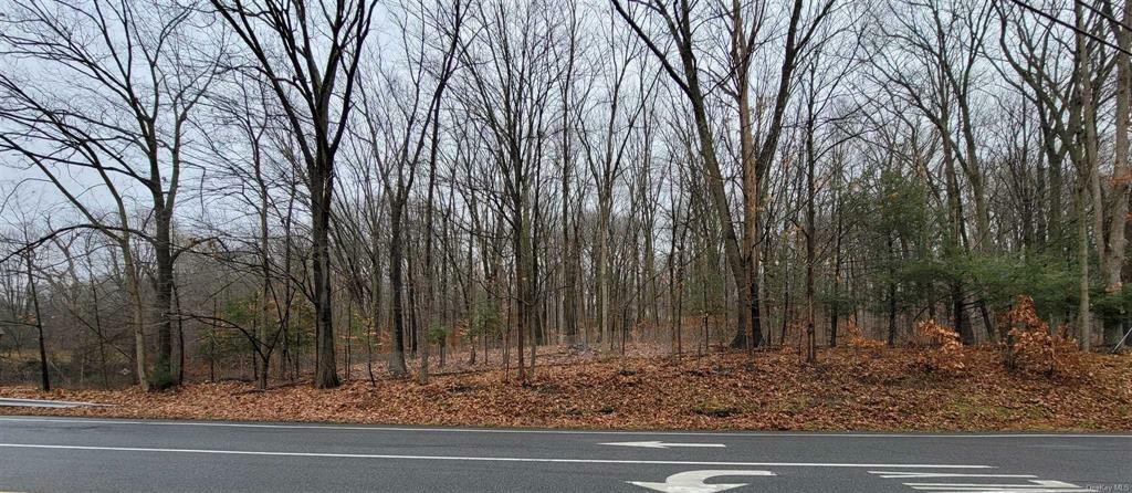 Property Photo:  All Angels Hill &Amp Wi Road  NY 12590 