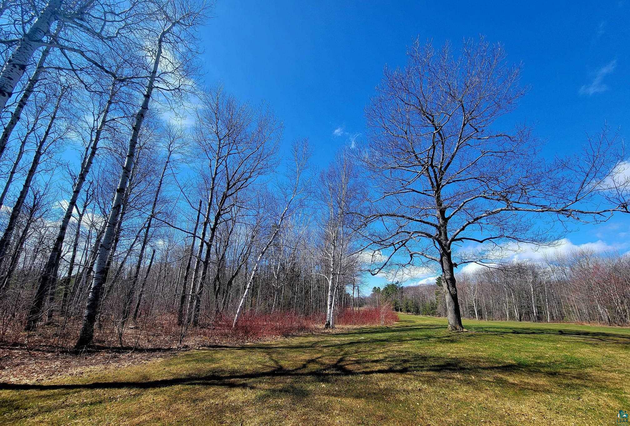 Property Photo:  8566X Eagle Run Lot 18 And Part Of 19 Apostle Highlands Oak  WI 54814 