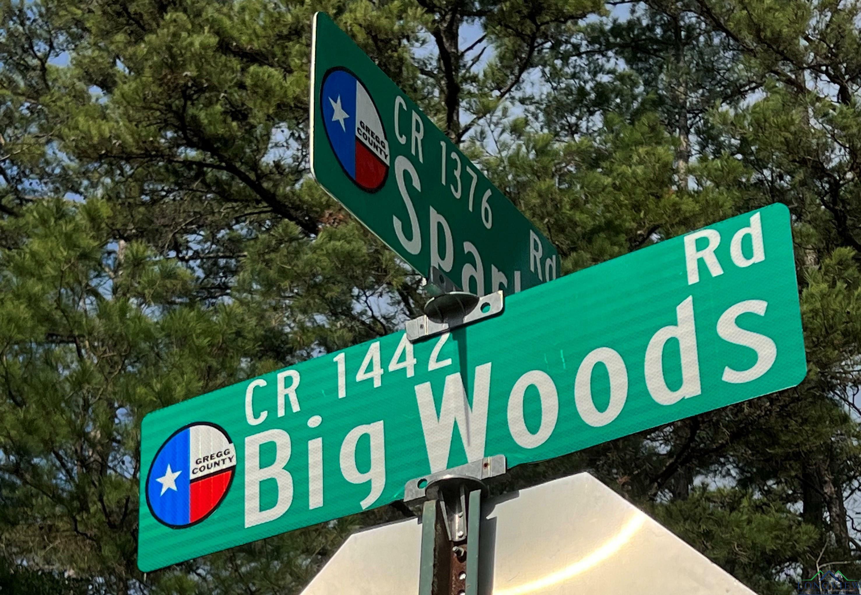 Property Photo:  1014 Big Woods  TX 75605 