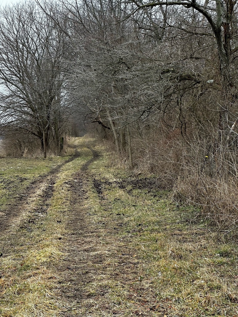 Property Photo:  Sec 36 T. 27n.-R12w Road  IL 60970 