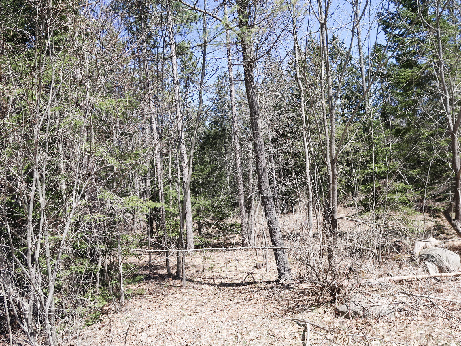 Property Photo: Lot #6 Sturtevant Hill Rd Road ME 04364