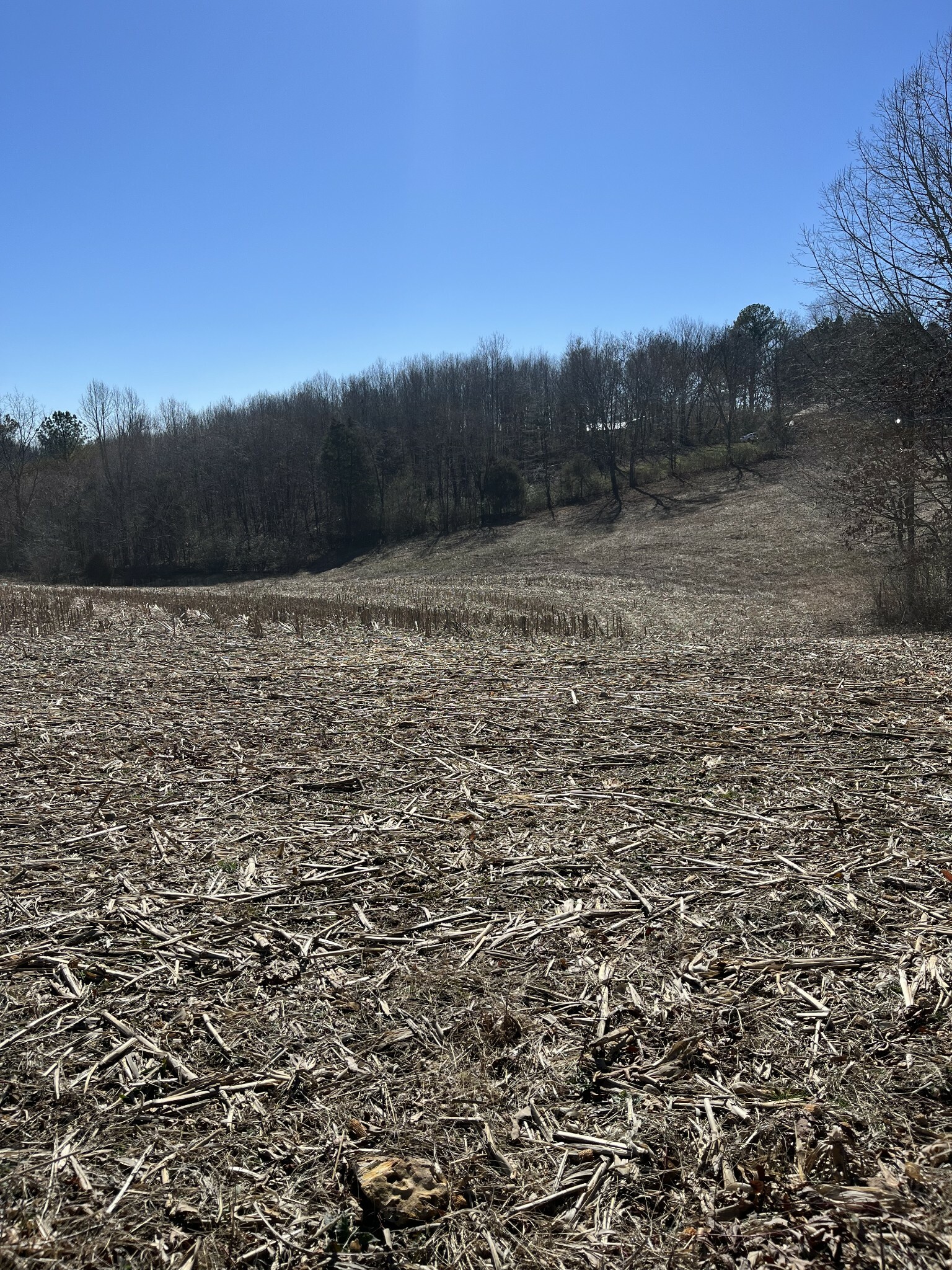 Property Photo:  781 Knob Creek Rd  TN 38464 