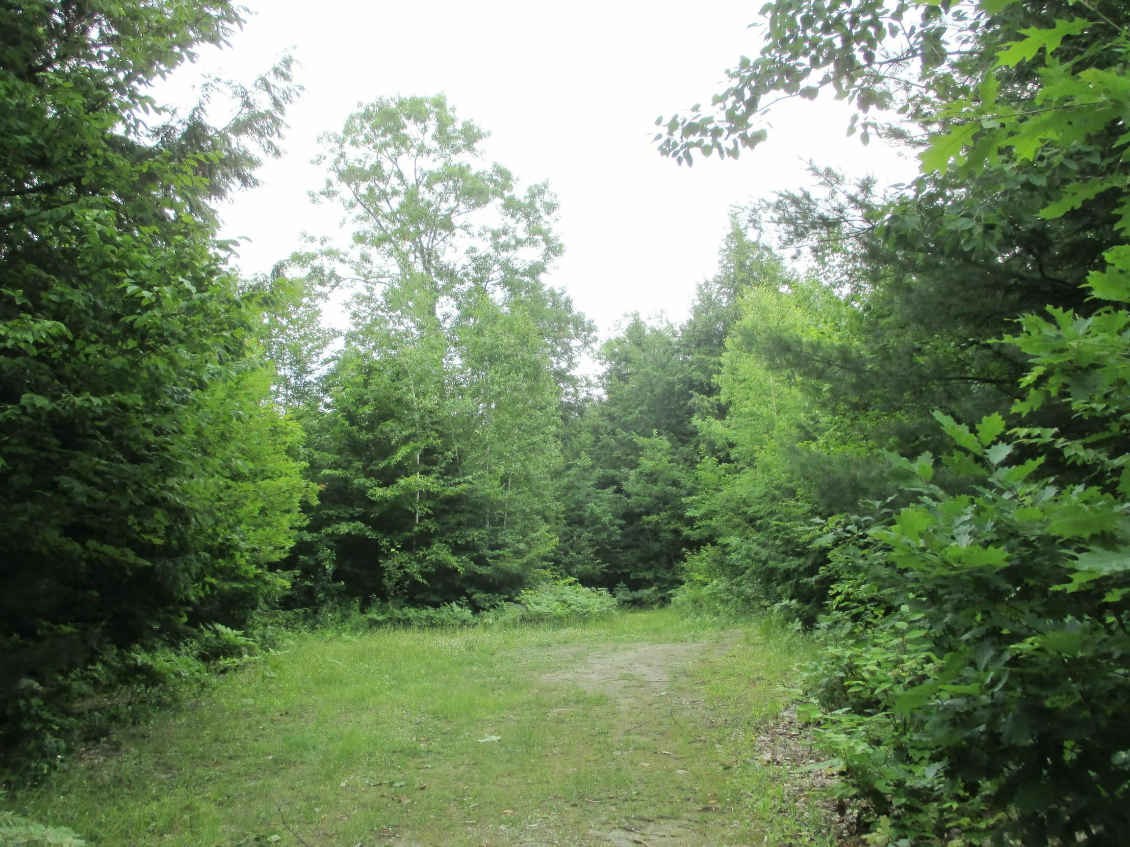 Property Photo:  0 Fenn Way Circle  NH 03740 