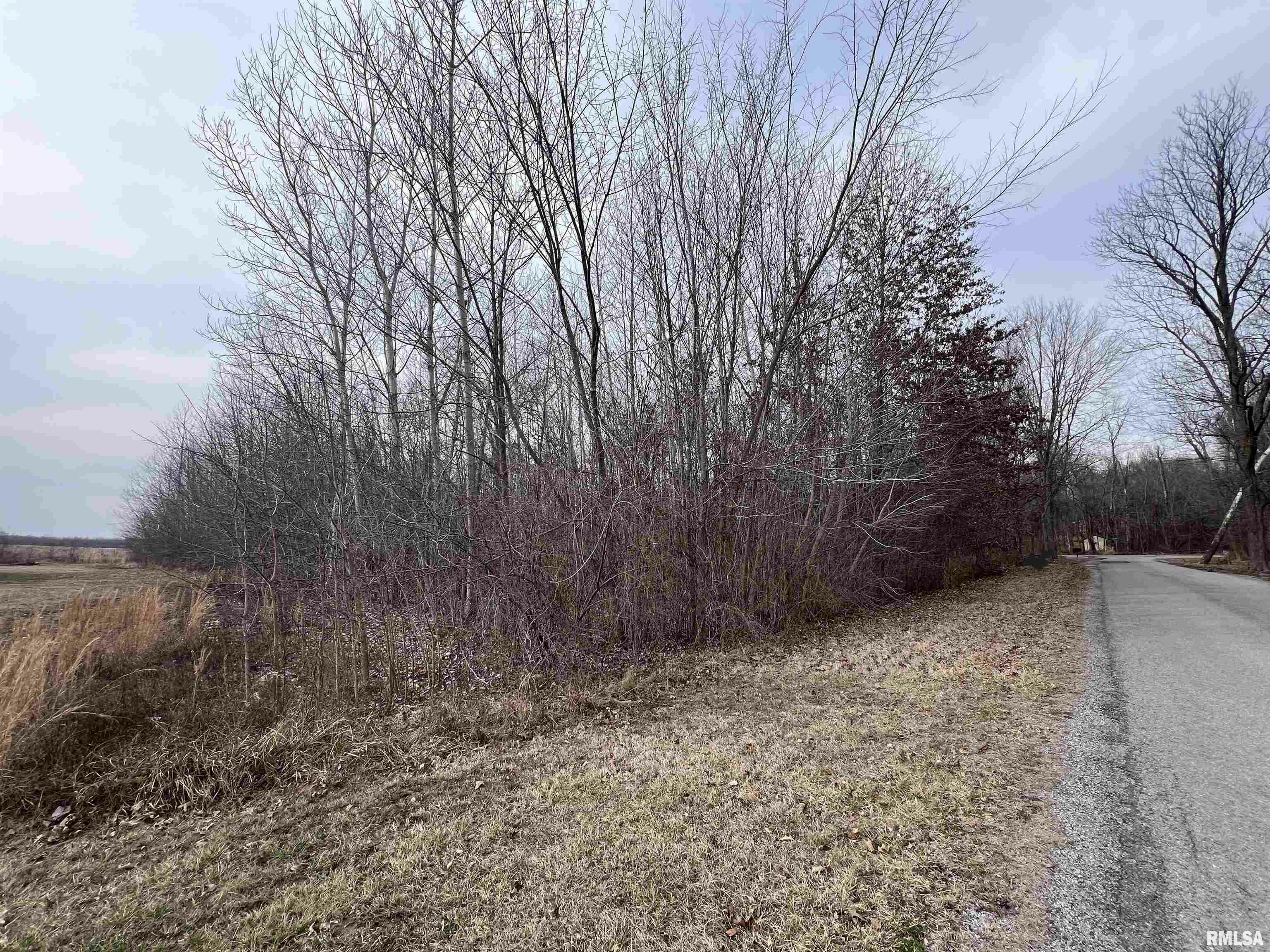 Property Photo: 11 Choctaw Drive IL 62901