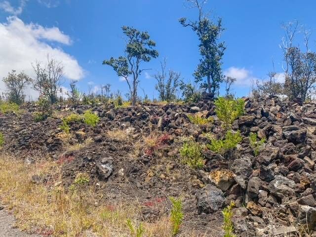Property Photo:  Pineapple Pkwy  HI 96737 