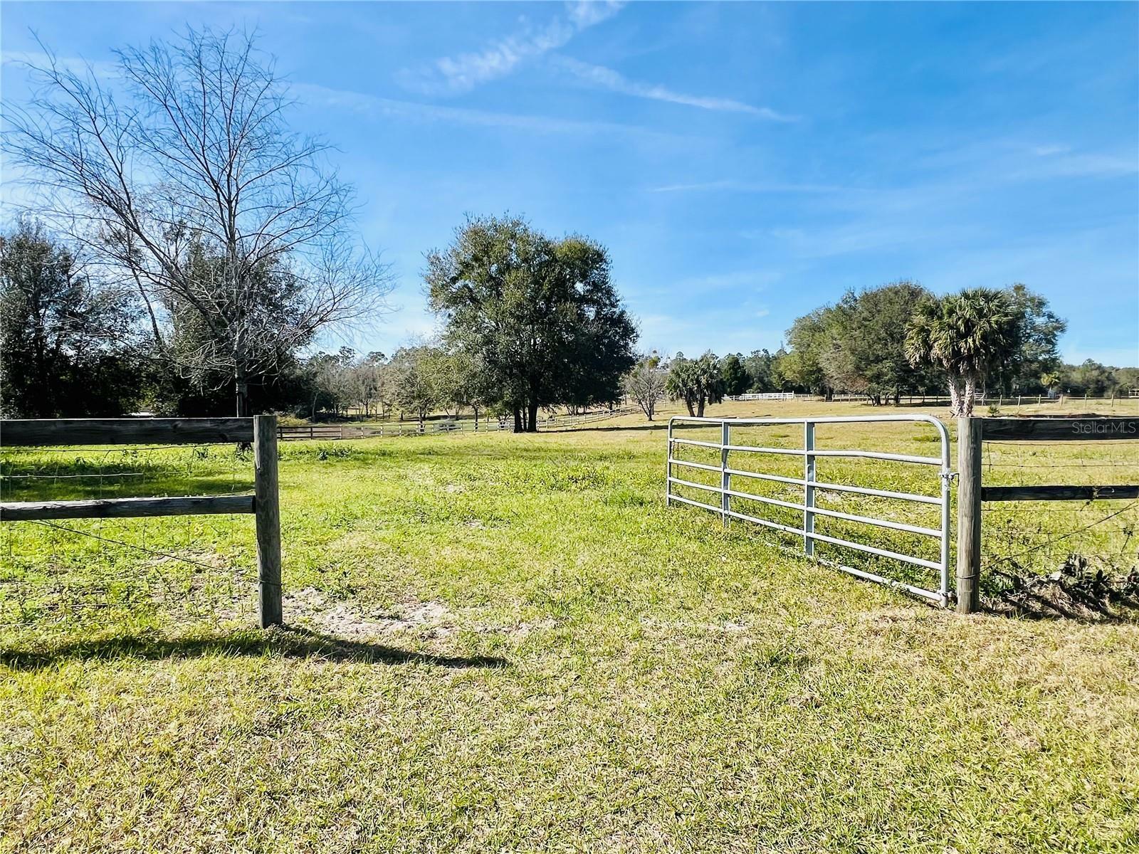 Property Photo:  19528 Sugarloaf Mountain Road  FL 34711 