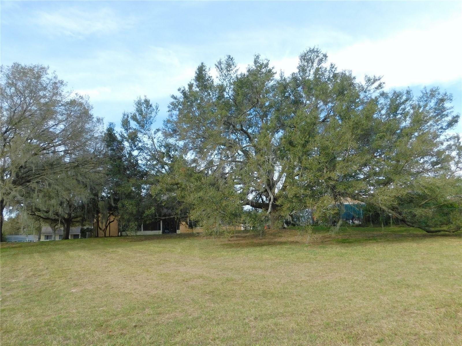 Property Photo:  1021 Hickory Road  FL 34472 