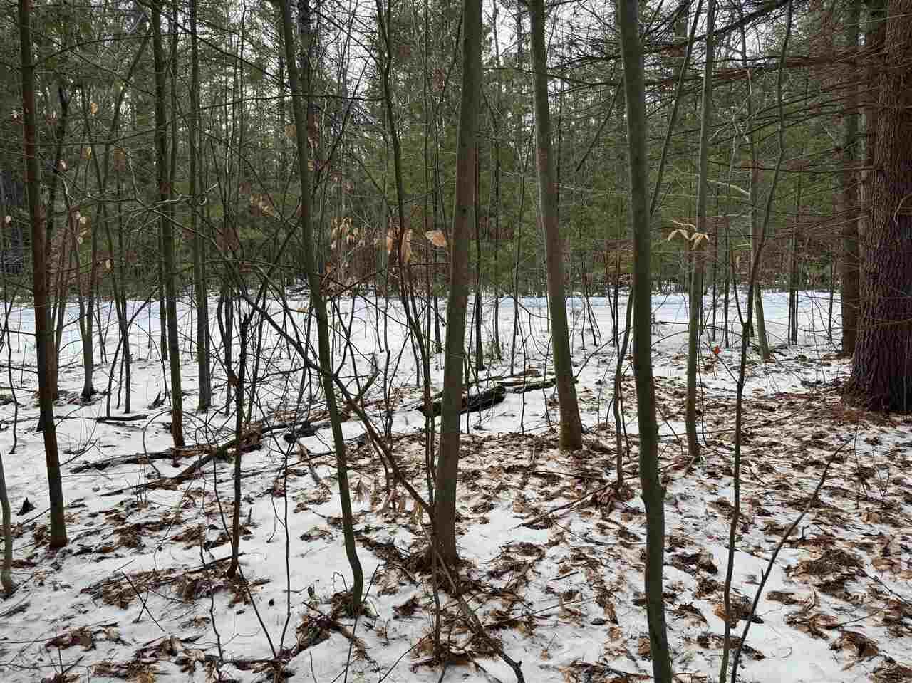 Property Photo: 00 Littlefield MI 49706