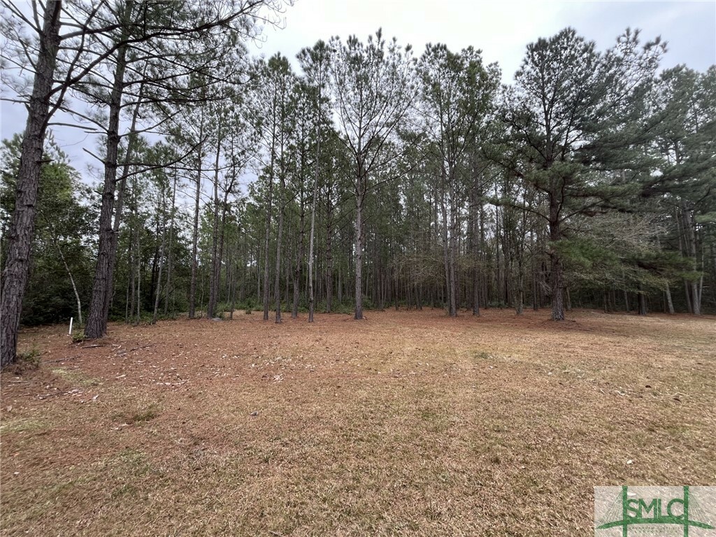 Property Photo:  0 John Wells Road  GA 31313 