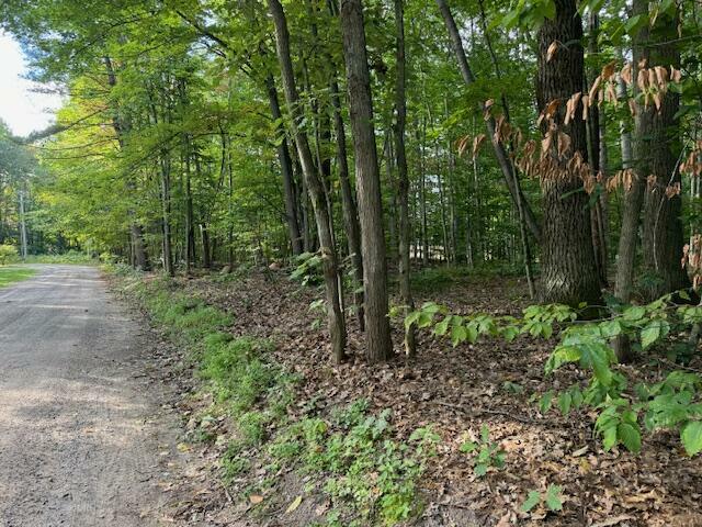 Property Photo: #4 S Perch Lake Drive MI 49735
