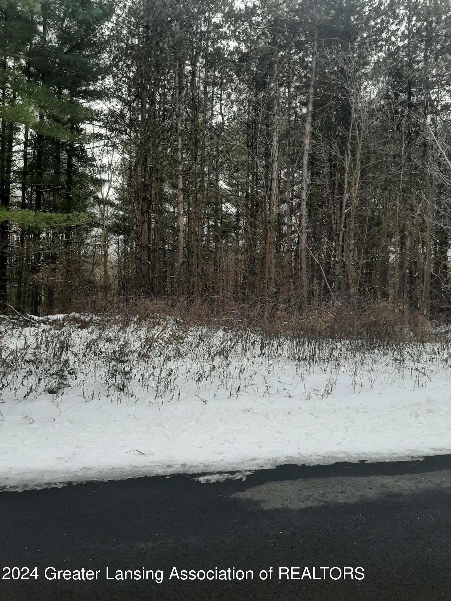 Property Photo:  0 Bennington Greens Lot 53  MI 48867 