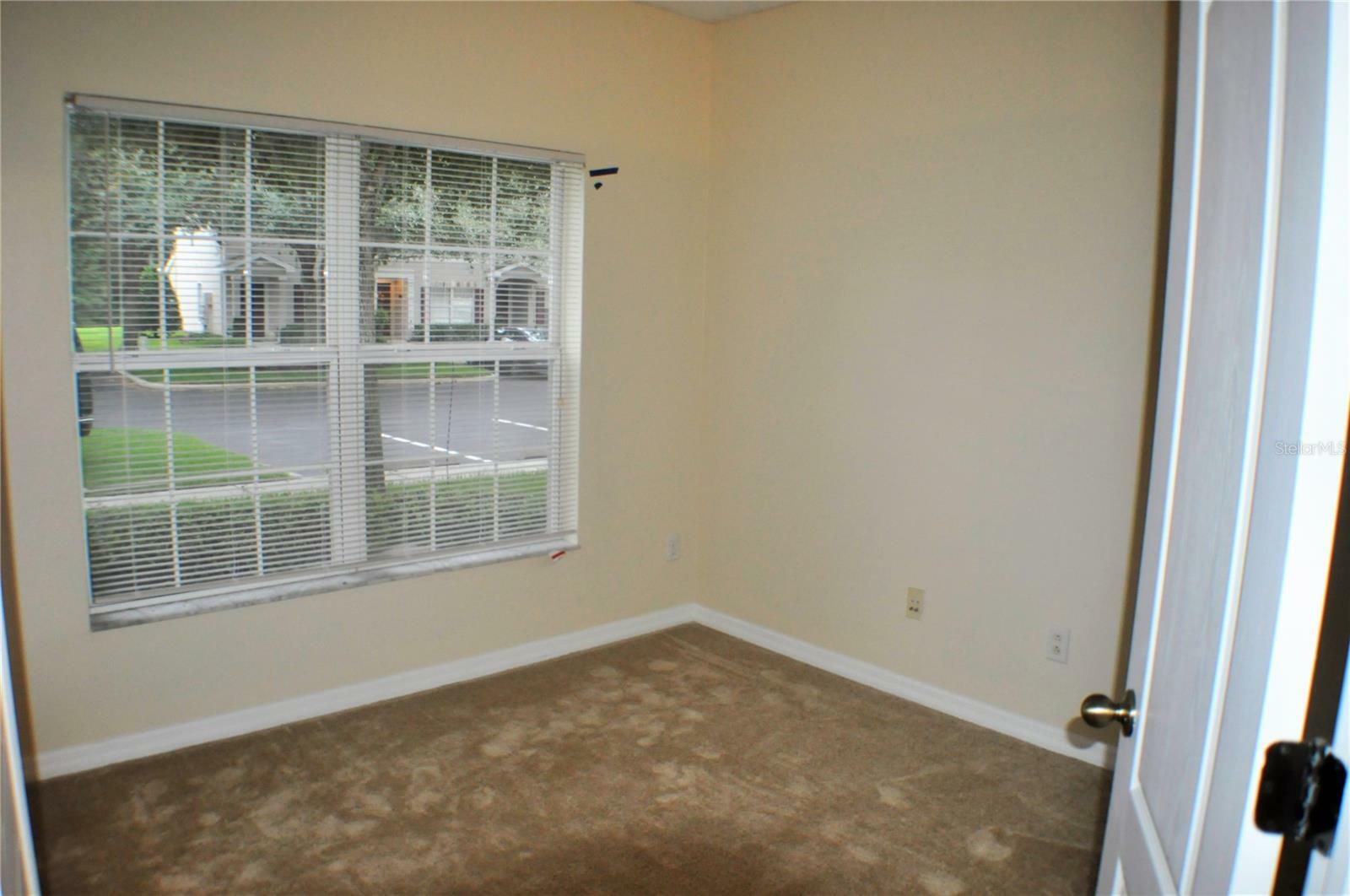 Property Photo:  15922 Fishhawk View Drive  FL 33547 