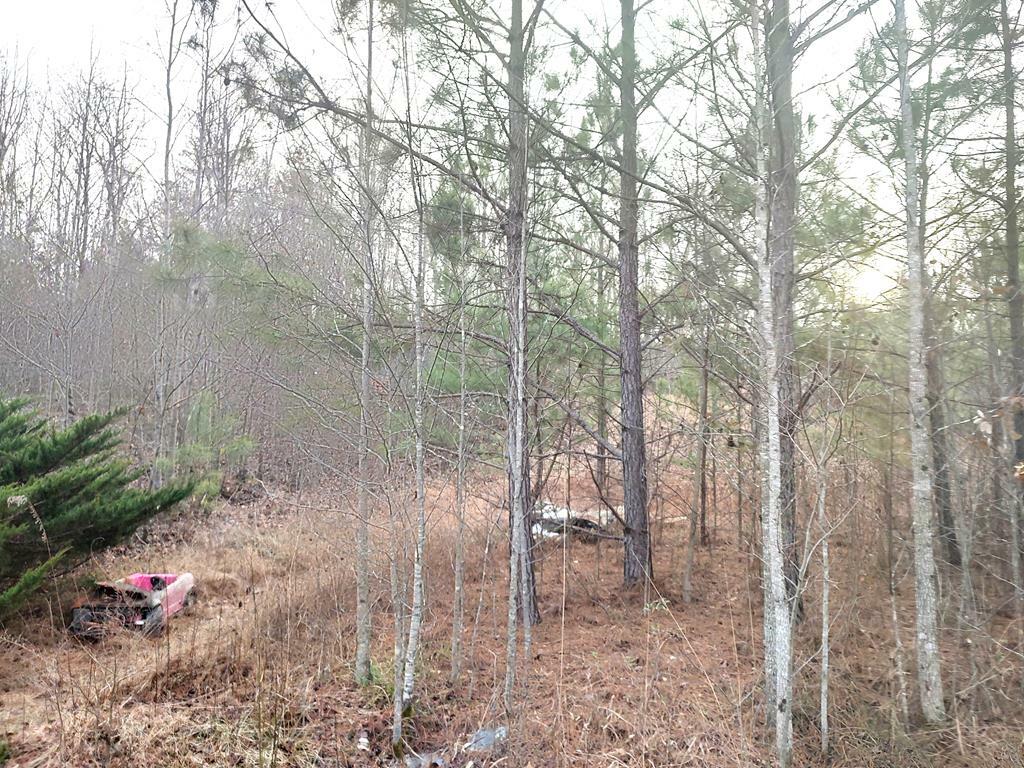 Property Photo:  1218 North Pass  GA 30705 