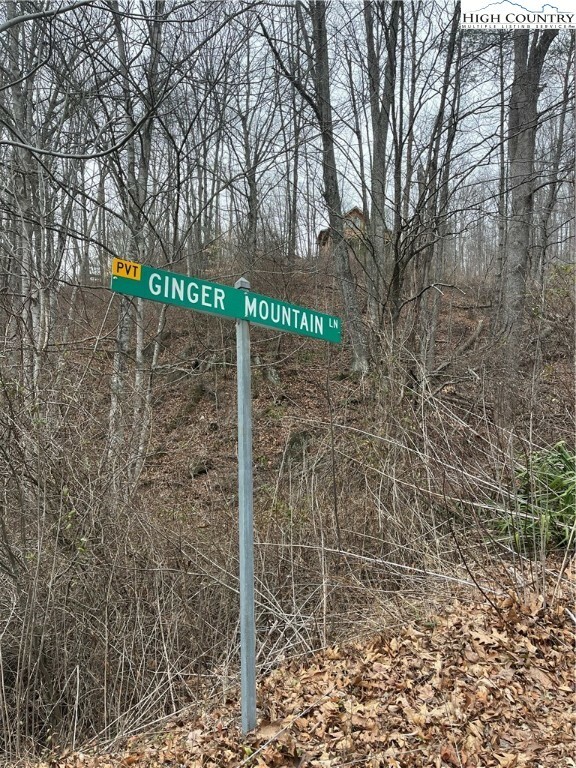 Property Photo:  Tbd Ginger Mountain Lane  NC 28693 