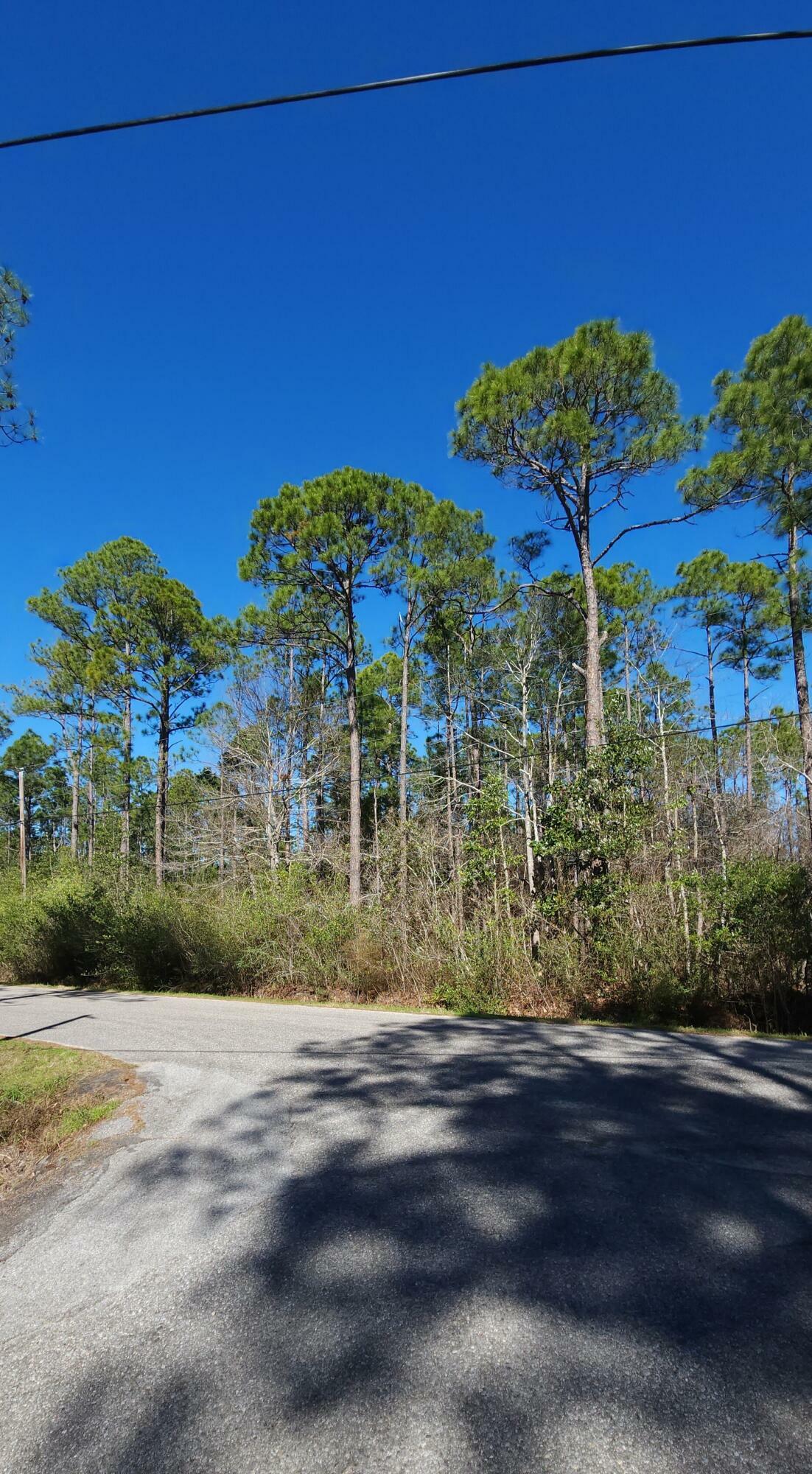 Property Photo:  .42 Bon Bay Drive  FL 32583 