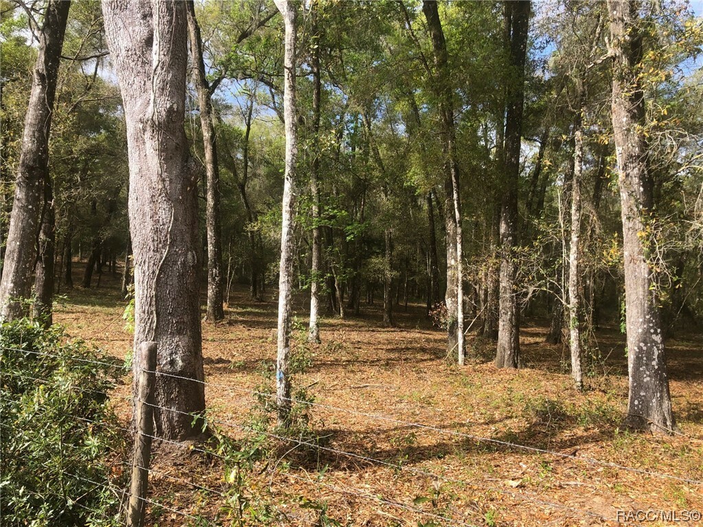 Property Photo:  0 E Stagecoach Trail  FL 34452 