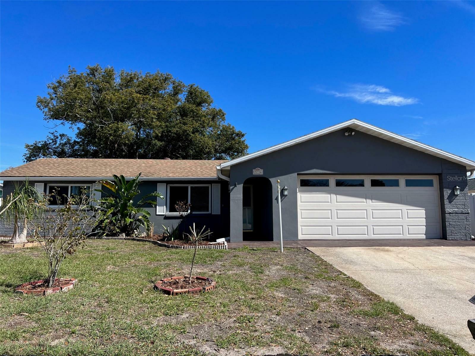 Property Photo:  7736 Wicklow Street  FL 34653 