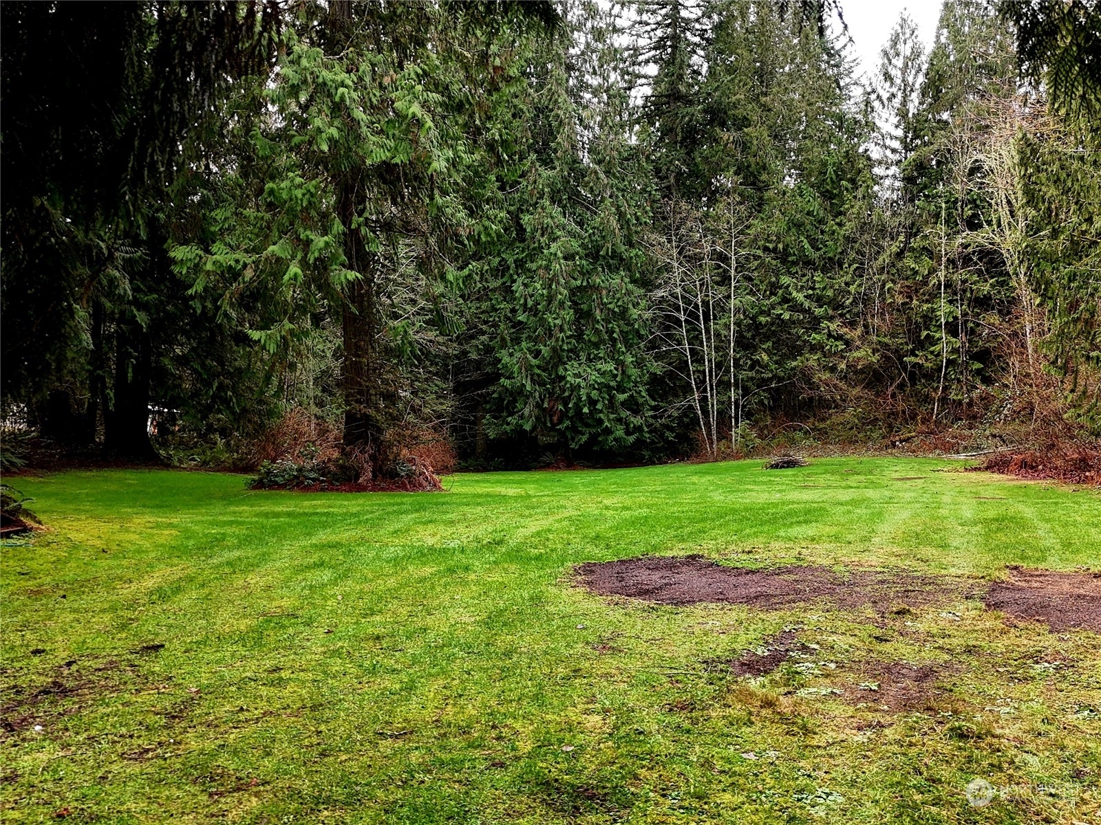 Property Photo:  9801 Kelly Road NE  WA 98014 