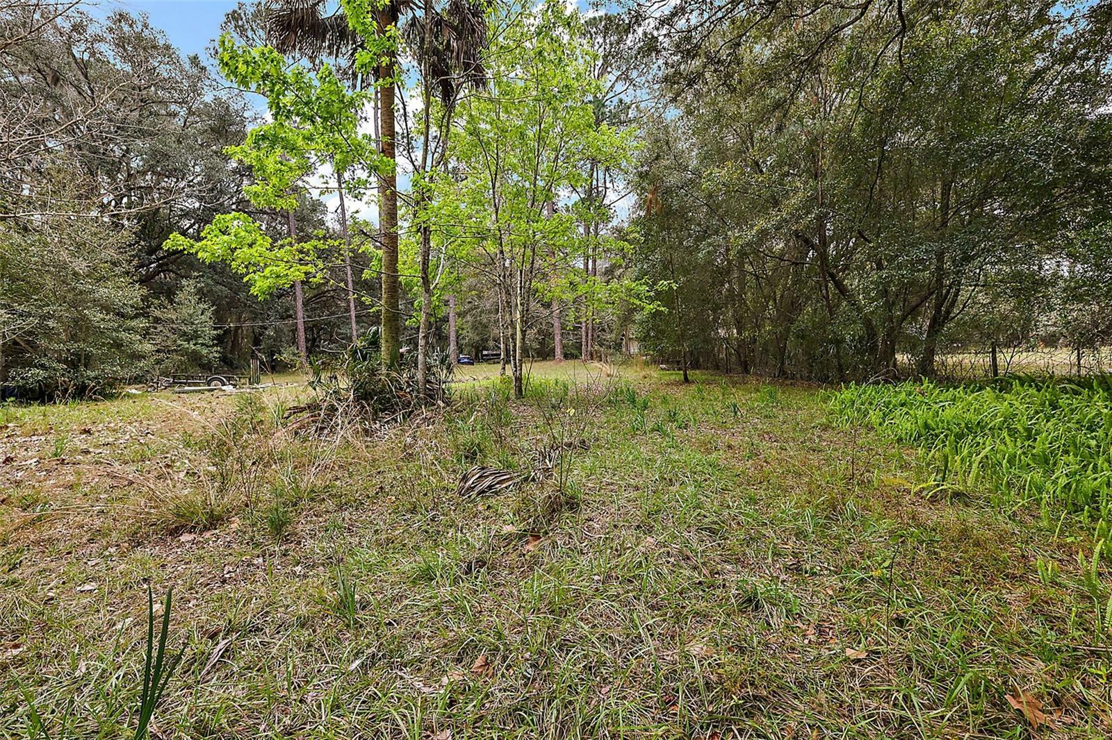 Property Photo:  19351 Dorrwood Lane  FL 32702 