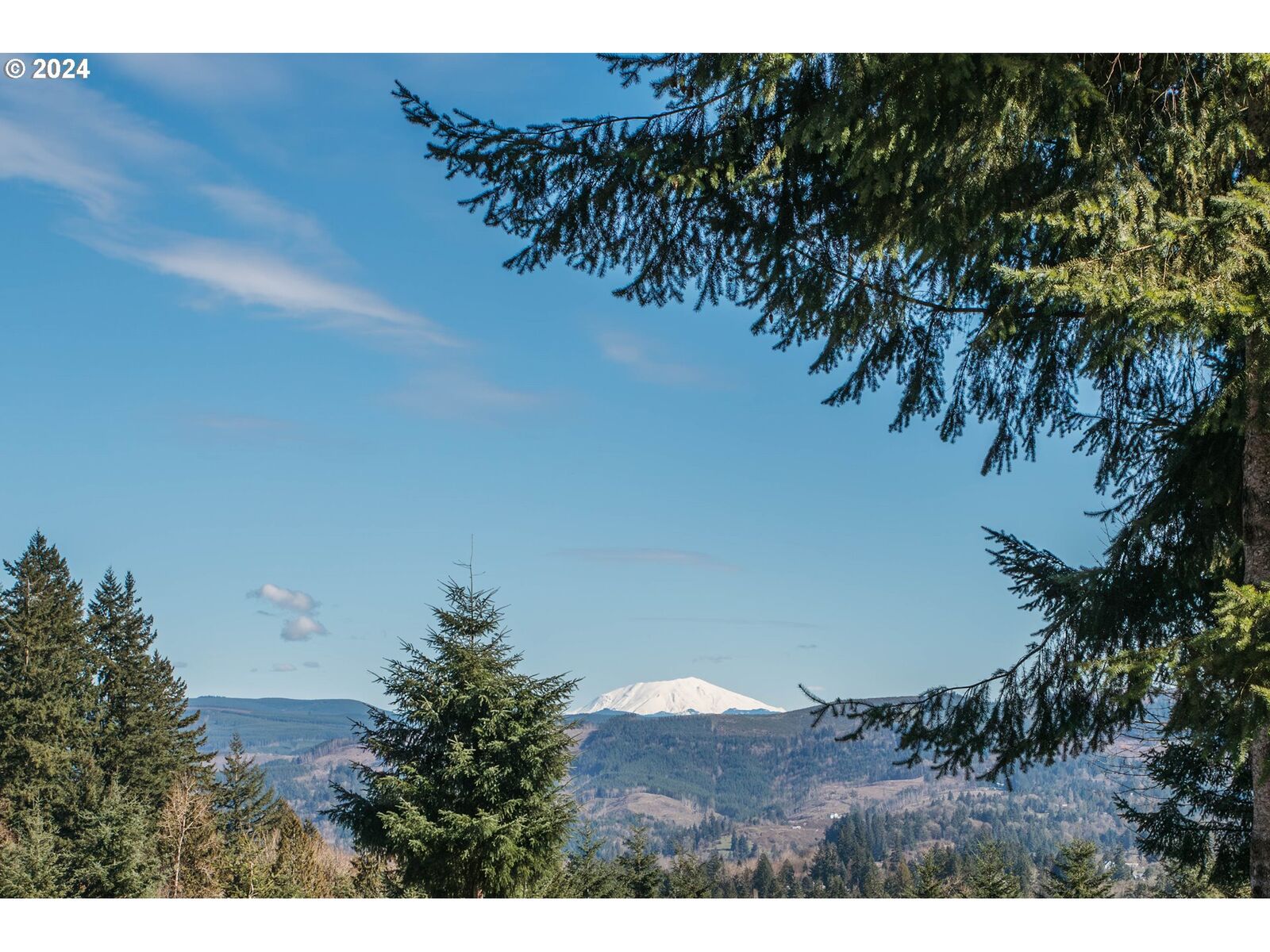 Property Photo: 260 Livingston Heights Dr WA 98632