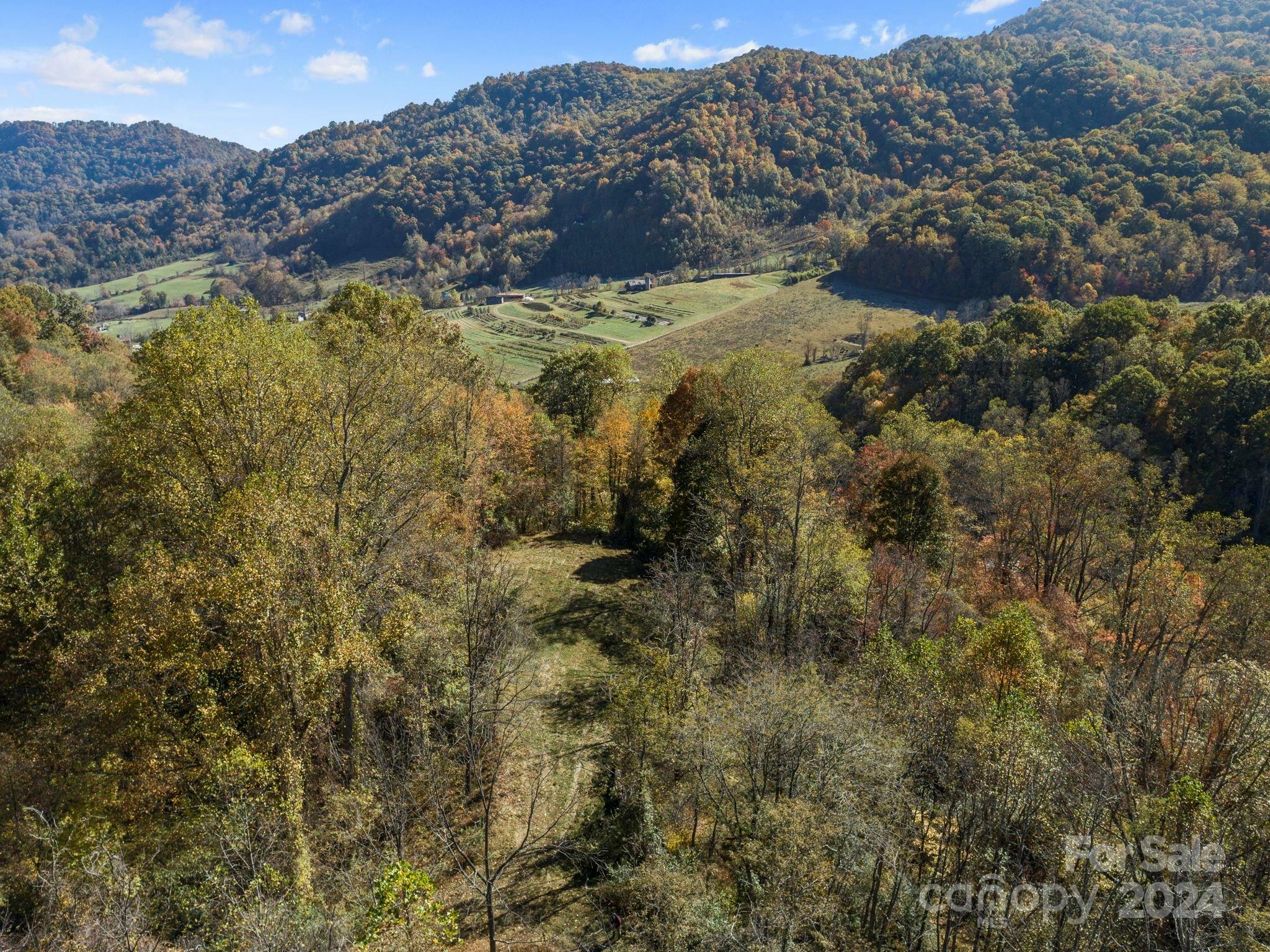 Property Photo:  Tbd Fresh Water Road  NC 28748 