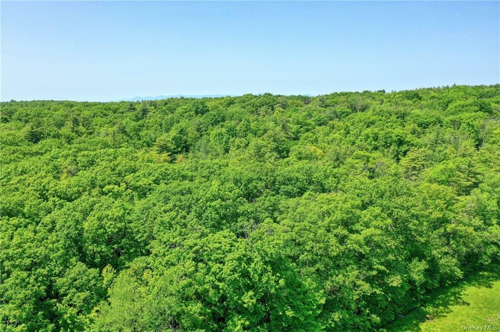 Property Photo:  Wadsworth Hill Road  NY 12195 