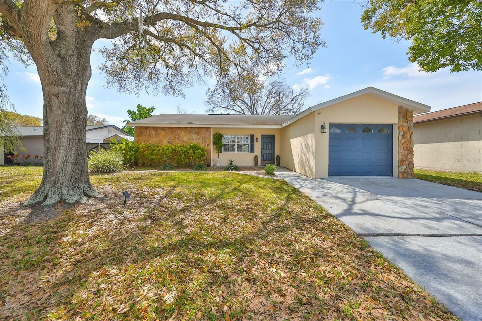 Property Photo:  11505 Smokethorn Drive  FL 33579 