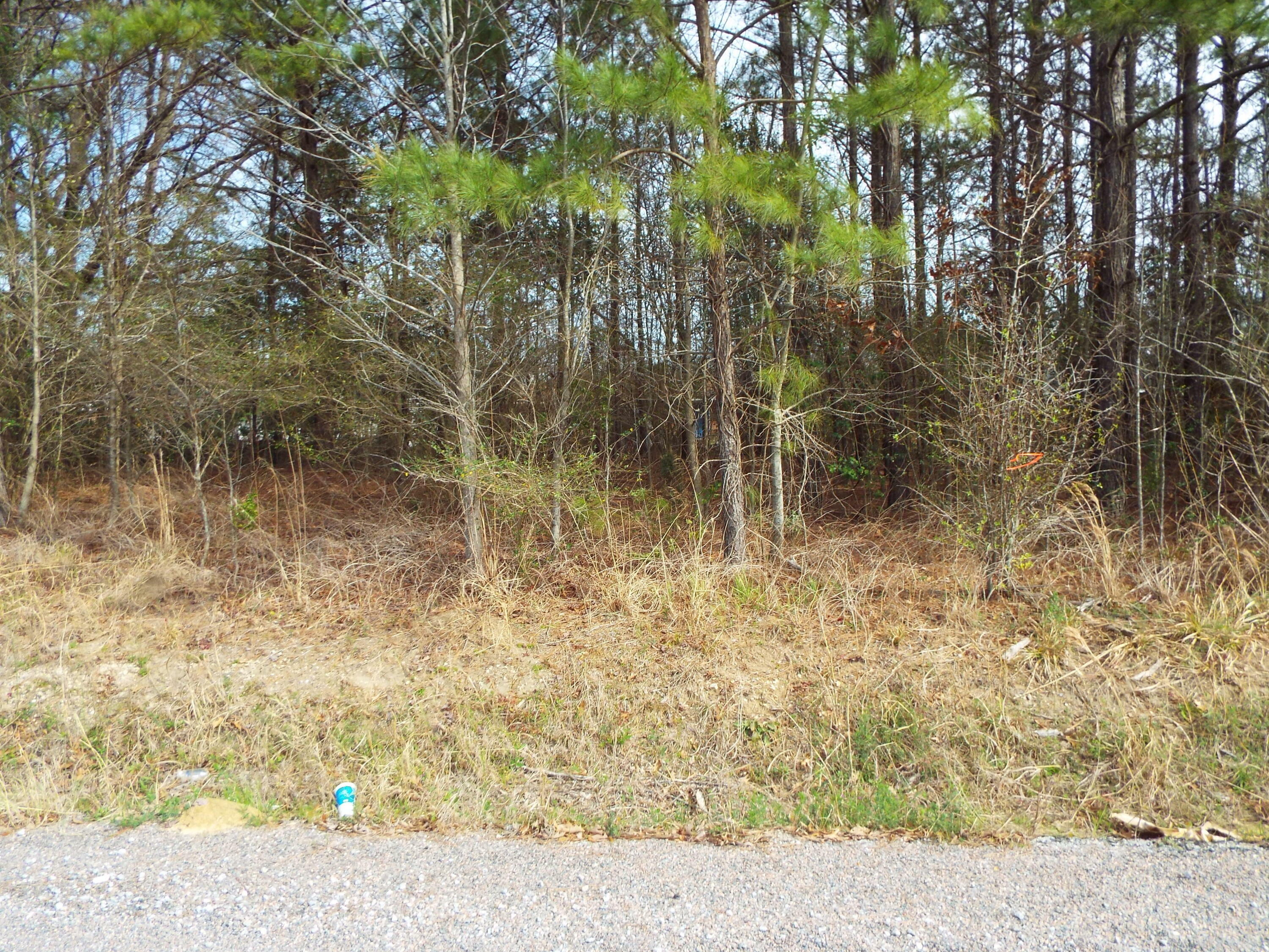 Property Photo:  0 Dennis Drive Lot 27  SC 29445 