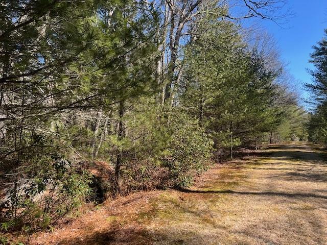 Property Photo:  Lot 18.5 Forestburgh Road  NY 12737 