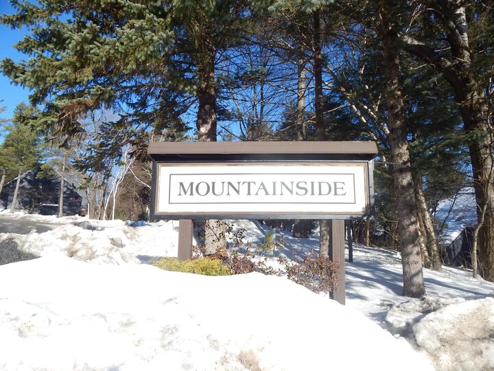 Property Photo:  205 Mountainside Drive  VT 05674 