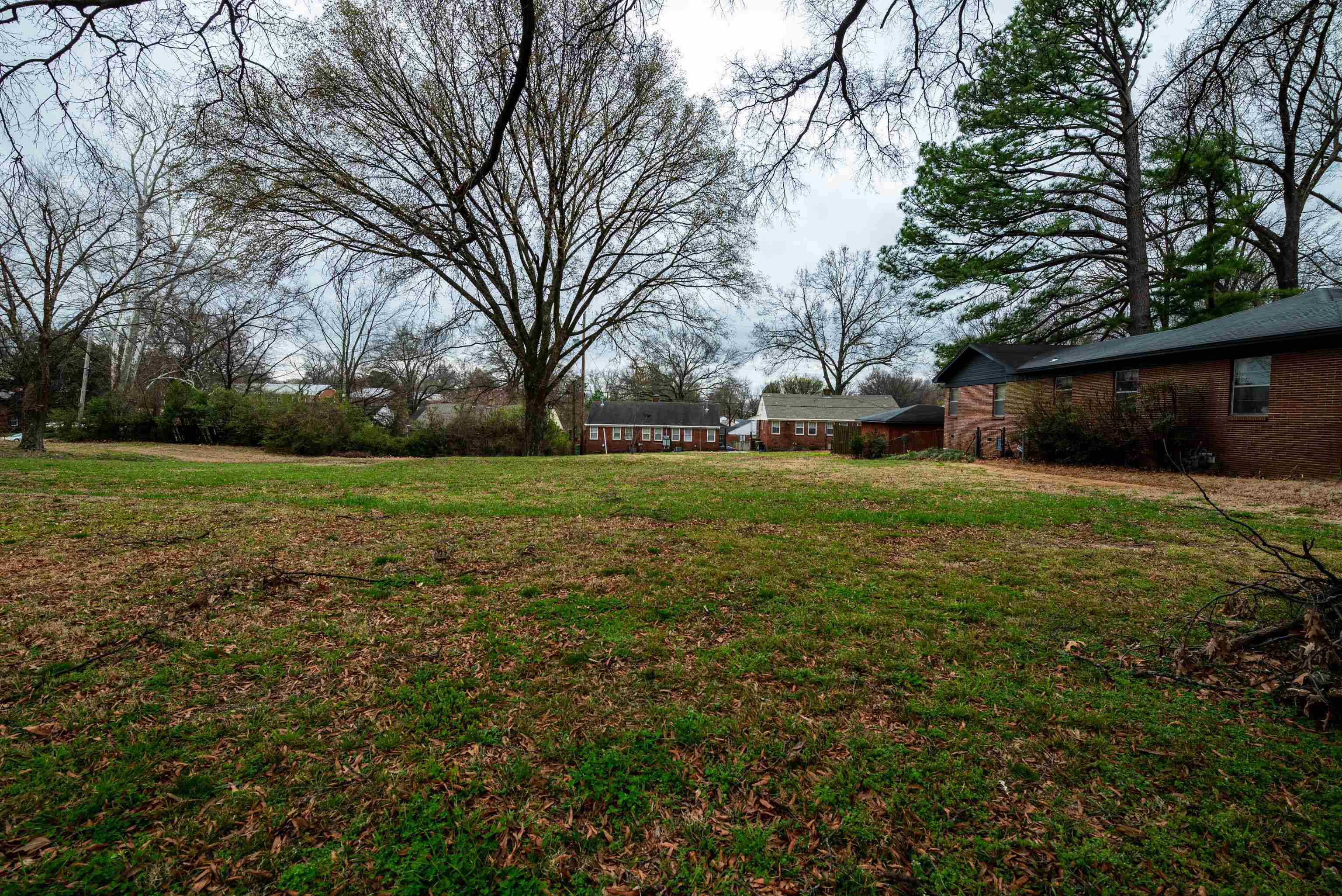 Property Photo:  2419 Union Ave  TN 38112 