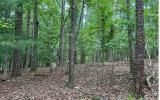 Property Photo: 0 Foxhound Drive GA 30540