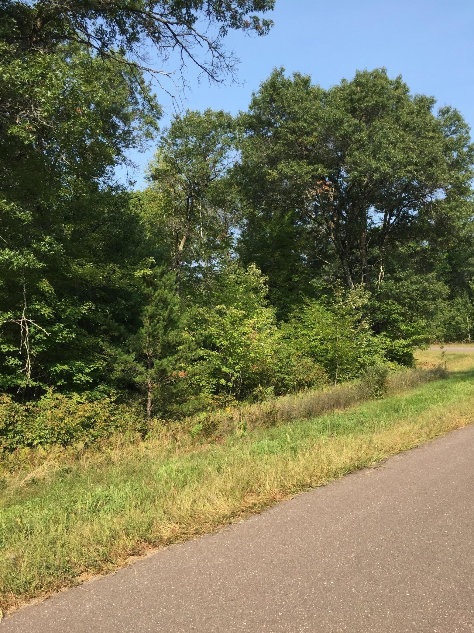 Property Photo: Lot 13 Shady Lane WI 54872