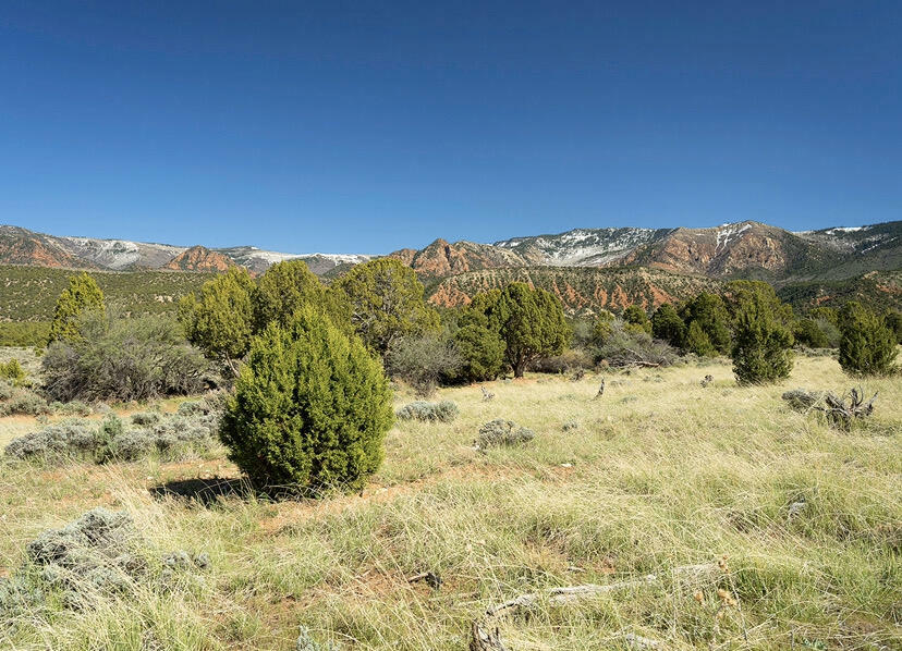 Property Photo:  4415 W 1900 S Lot 24, Ph 4  UT 84720 