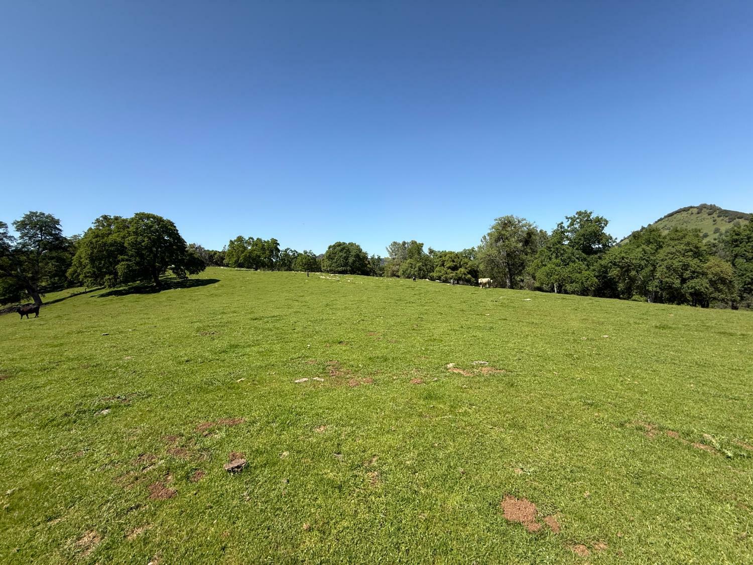 Property Photo: 0 Airola Road CA 95251
