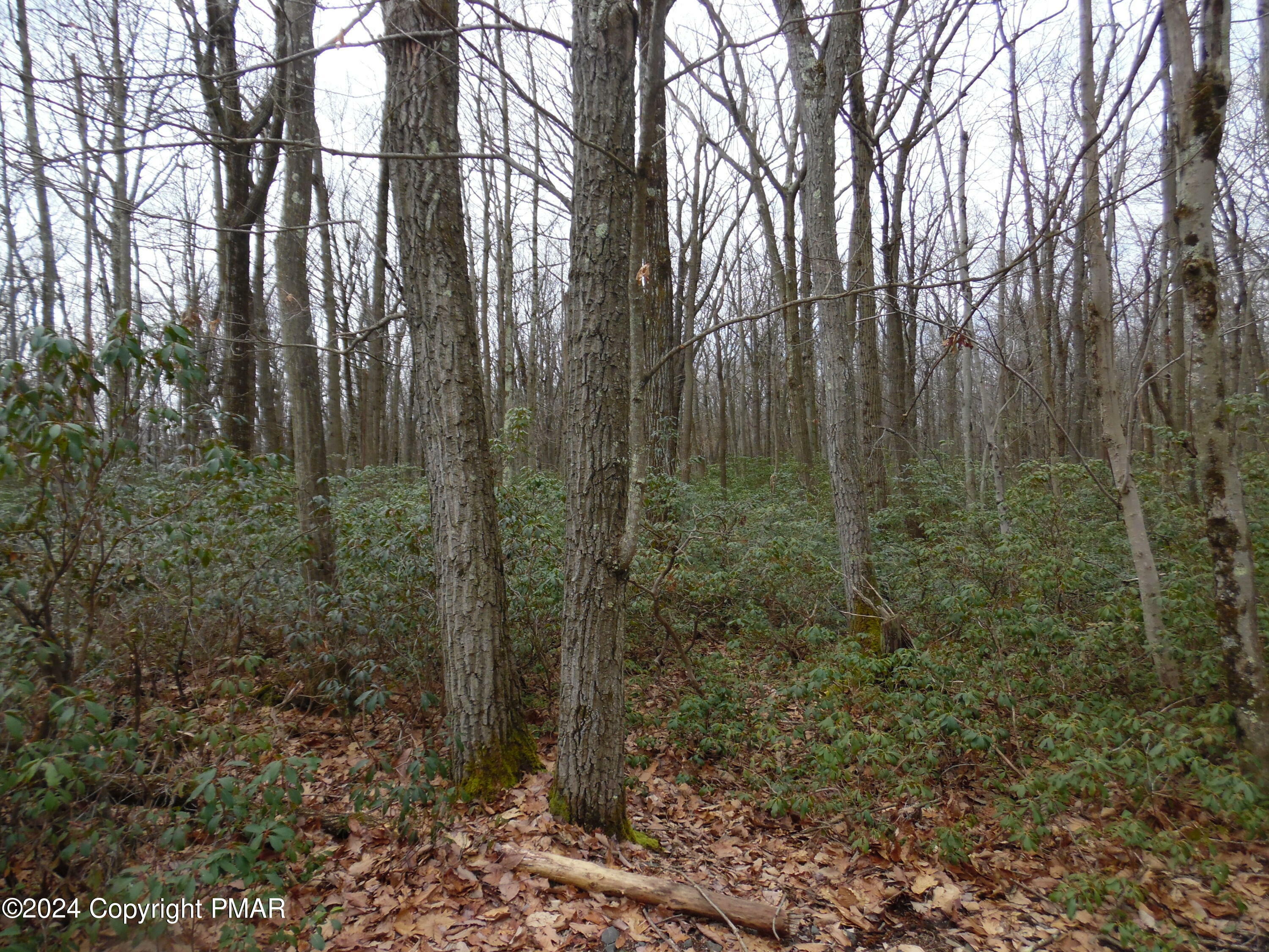 Property Photo: Lot E 540 Cocopah Circle/Saginaw Drive PA 18229
