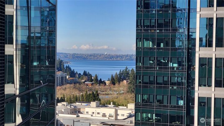 Property Photo: 10700 NE 4th Street 1706 WA 98004