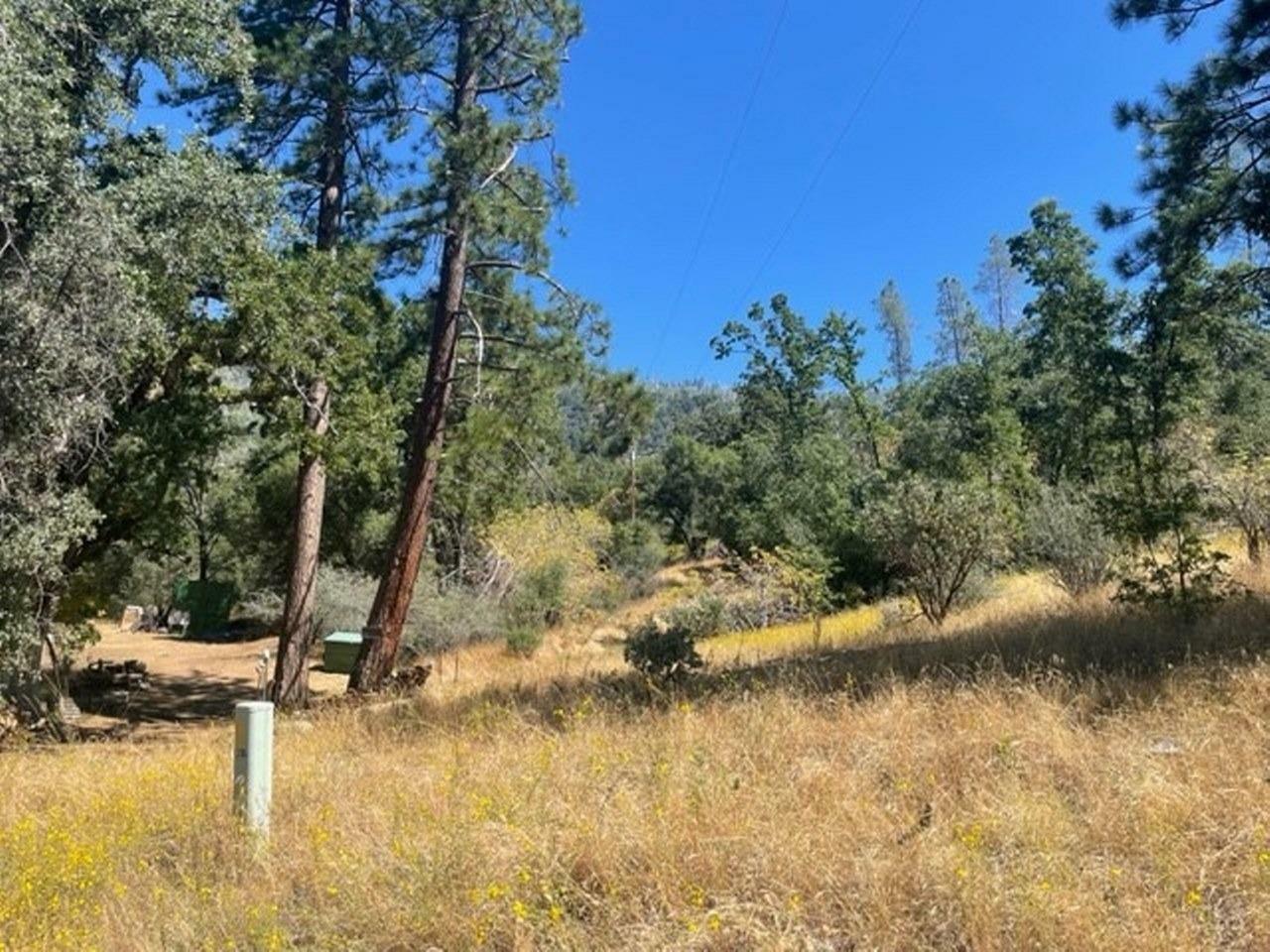 Property Photo:  0 Lot 2 Peckinpah Acres Drive  CA 93643 