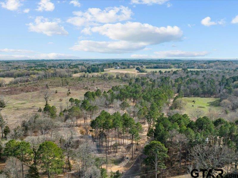 Property Photo:  Lot 2 County Road 2540  TX 75773 