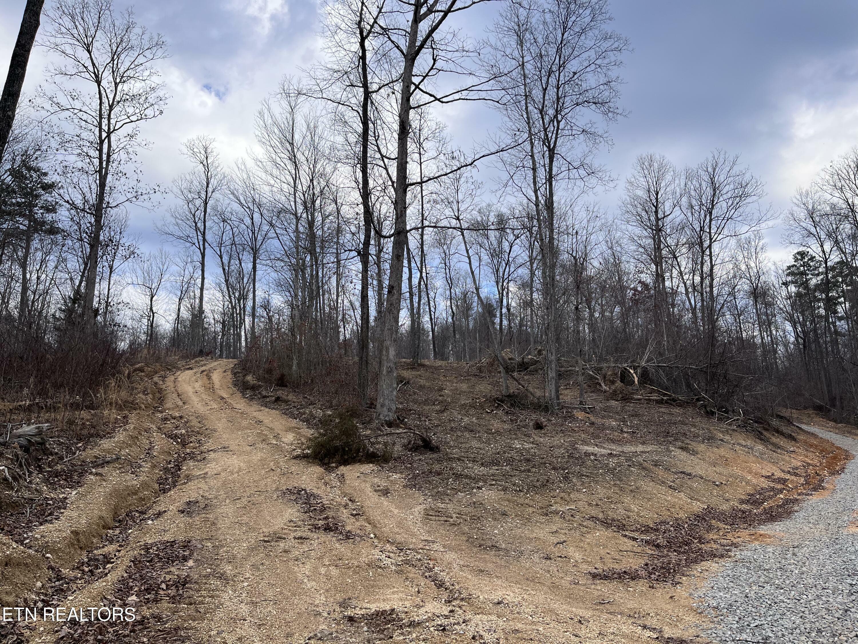 Property Photo:  Little Sycamore Rd  TN 37879 