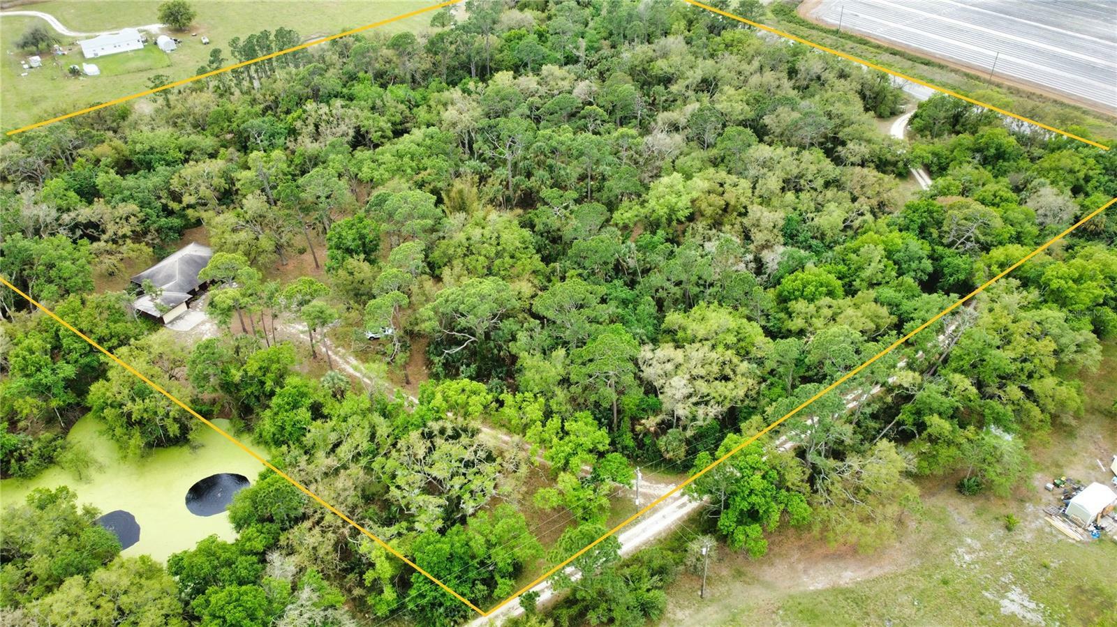 Property Photo:  5826 SE County Road 763  FL 34266 