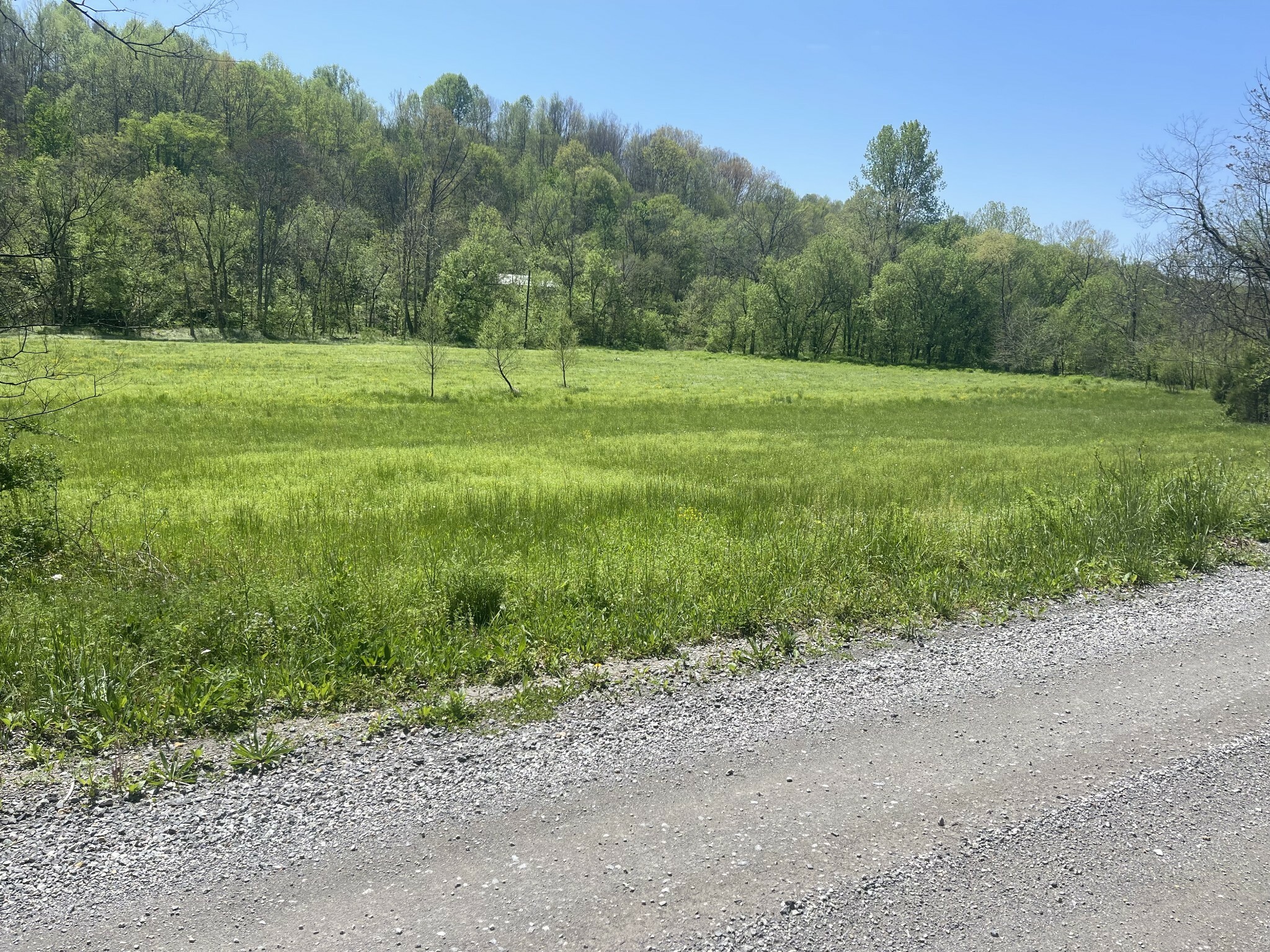 Property Photo:  4279 Westfork Creek Road  TN 37186 