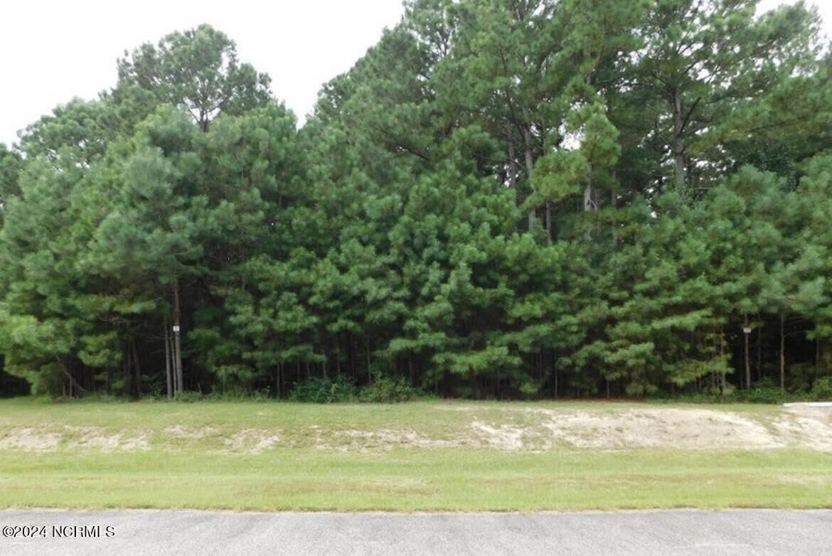 Property Photo:  34 34 Pilot Court  NC 27944 