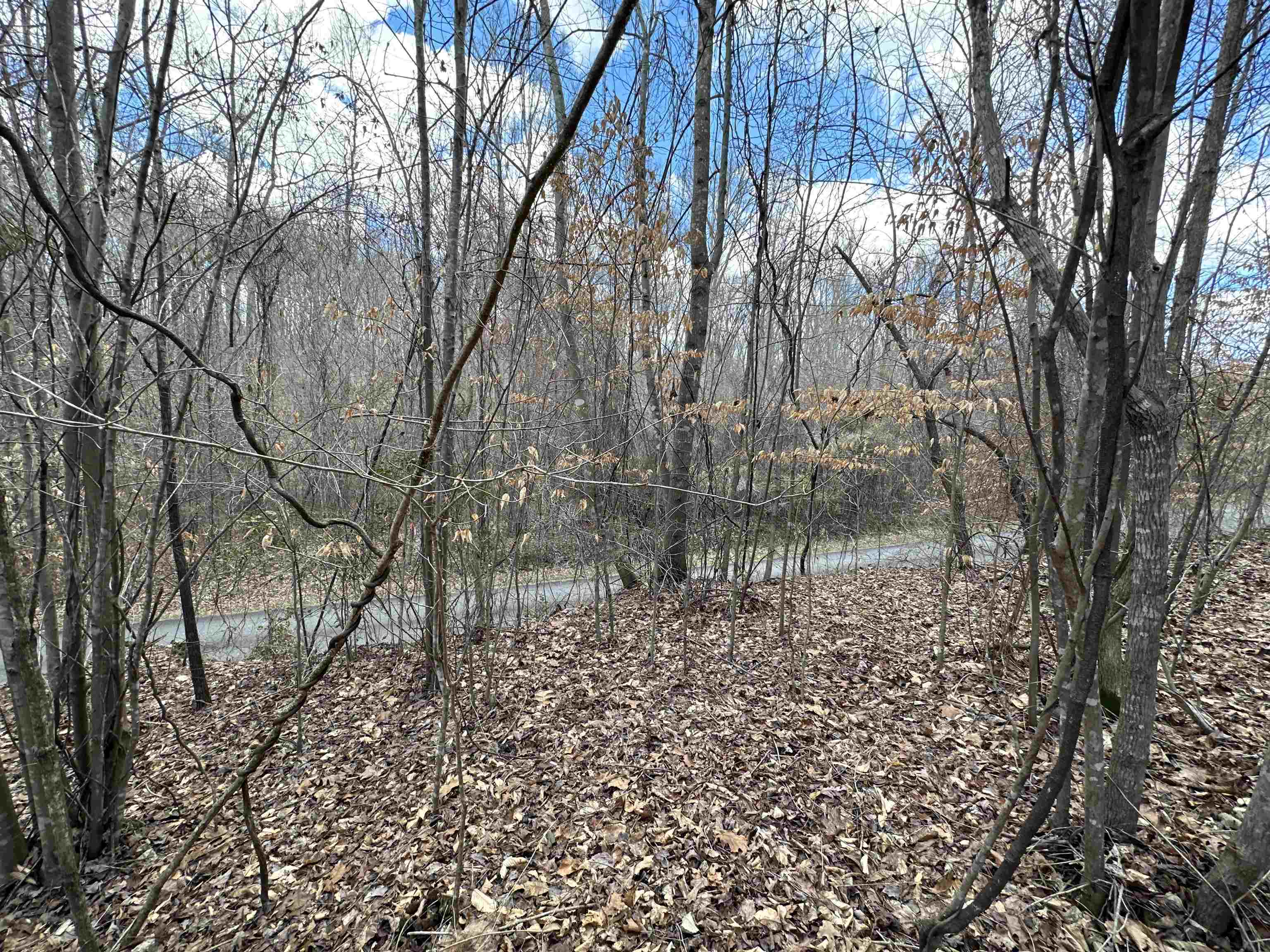 Property Photo: 151 Plantation Trail SC 29340
