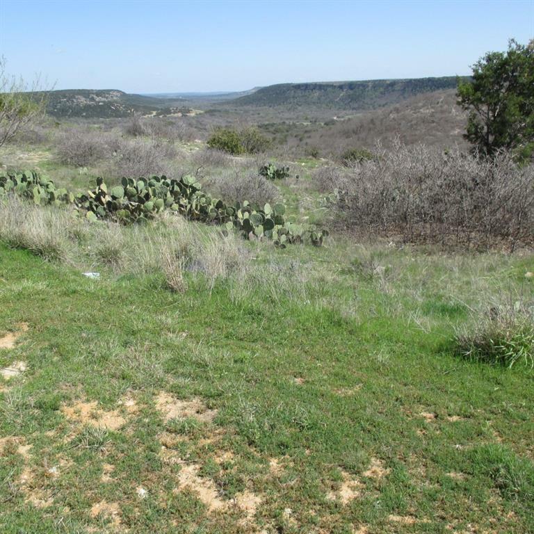 Property Photo:  Lot 221-R Oak Tree Drive  TX 76449 