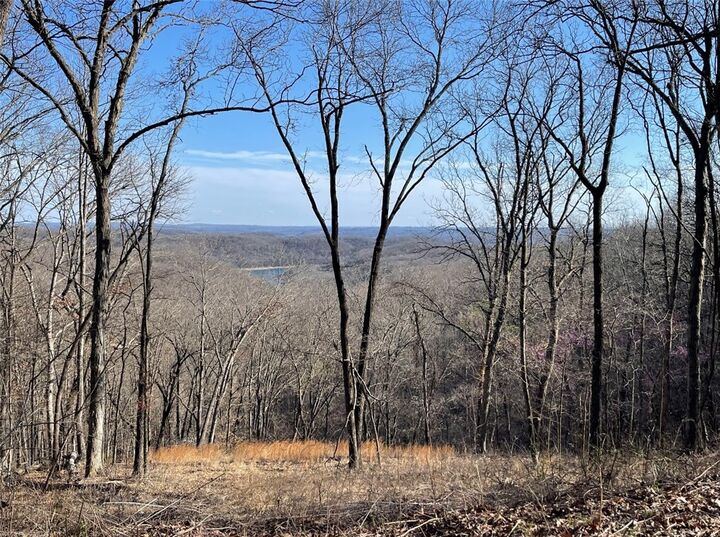 Property Photo:  Ventris Road  AR 72732